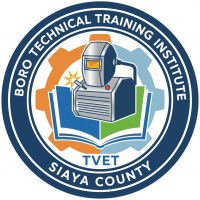 Boro Technical Training Institute